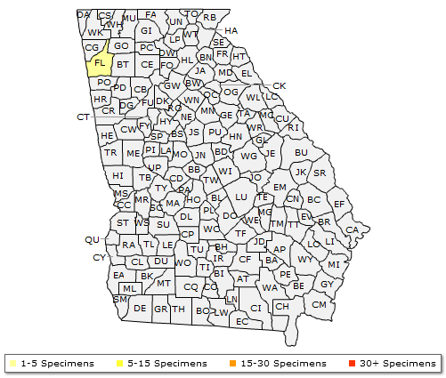 The range of Carya myristiciformis